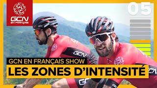 Zone cardiaques